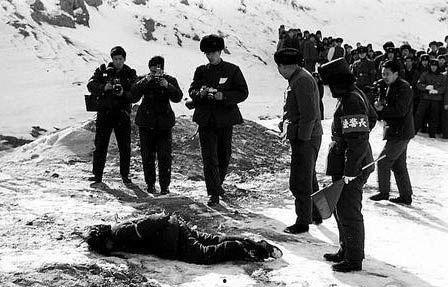 枪毙死刑犯视频,震撼人心的真实瞬间