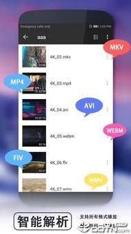 不用播放器可以看的视频