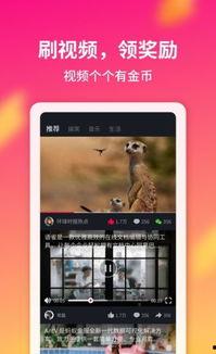 广告视频下载,一窥产品魅力与品牌故事