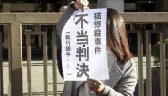 残忍汽油烧猫视频