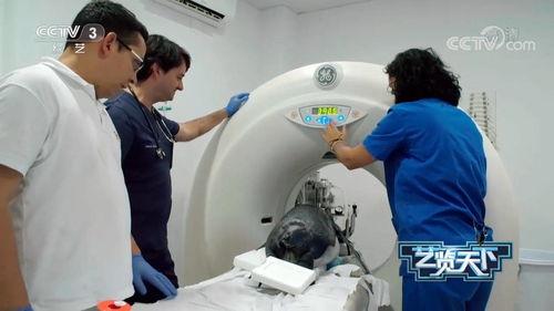 做ct视频,影像技术的革新之旅