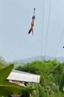 明星蹦极视频,明星勇敢蹦极，高空惊险瞬间引网友热议