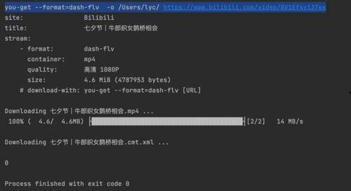 视频下载代码,视频下载代码全解析